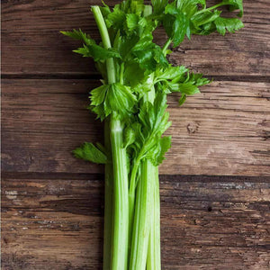 the benefit of celery is amazing for skincare, this bar of handmade soap is organic with pure juice